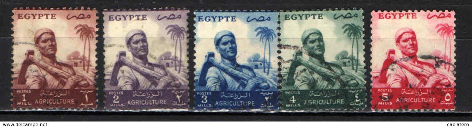 EGITTO - 1954 - AGRICOLTURA - CONTADINO - USATI - Usati