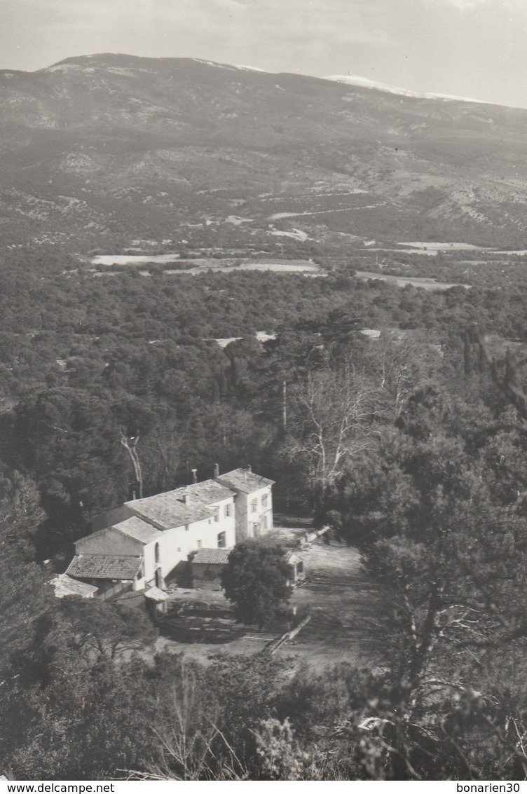 CPSM  84 BEDOIN  DOMAINE NATURISTE DE BELEZY  LE MONT VENTOUX - Autres & Non Classés