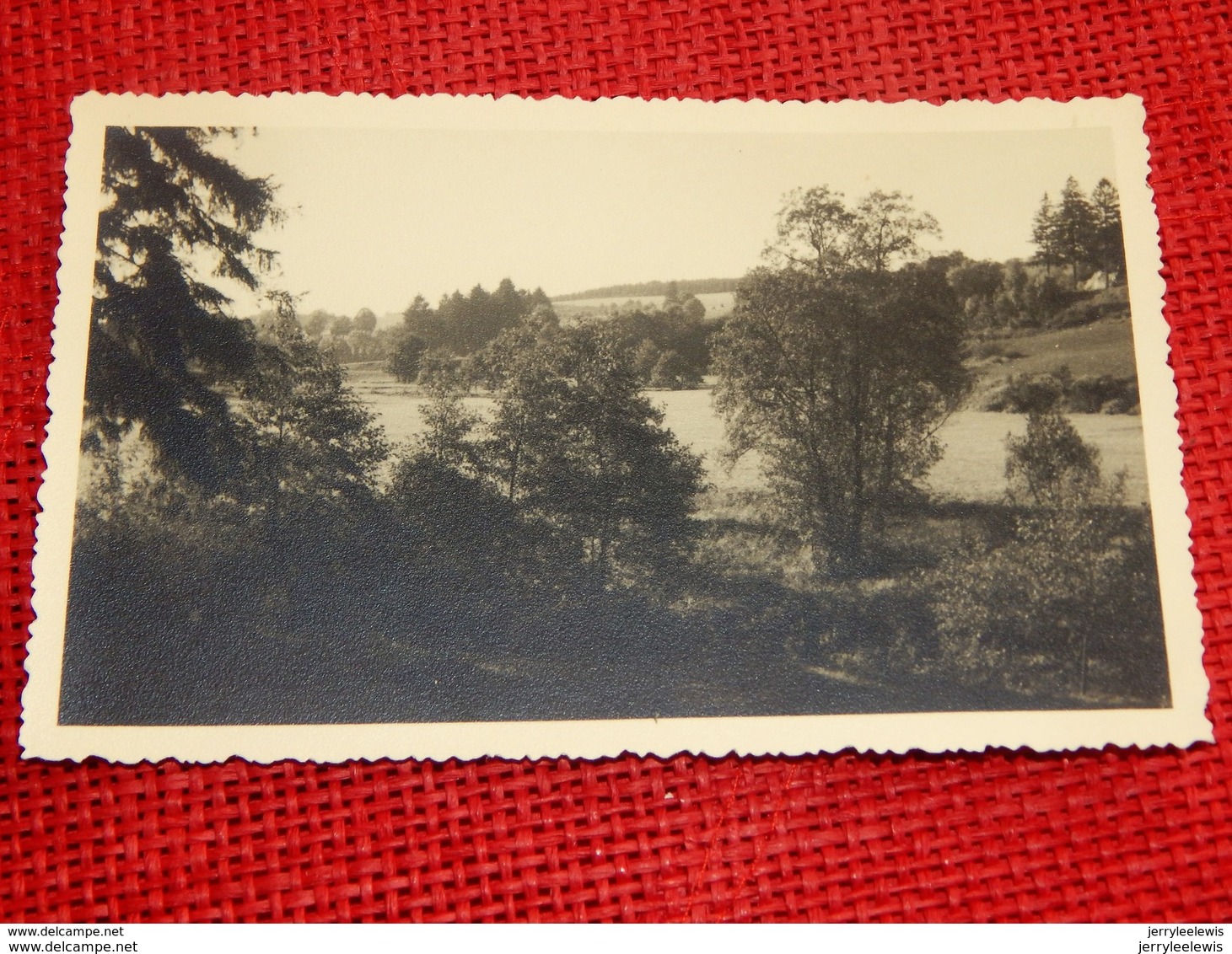 NEUFCHÂTEAU  - Panorama  - Carte Photo - Neufchâteau