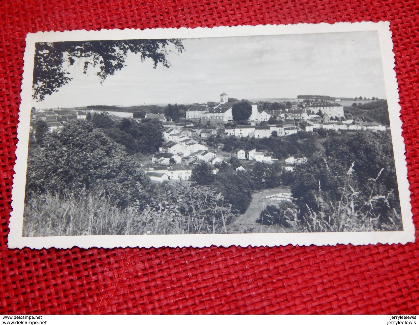 NEUFCHÂTEAU  - Panorama  - Carte Photo - Neufchâteau