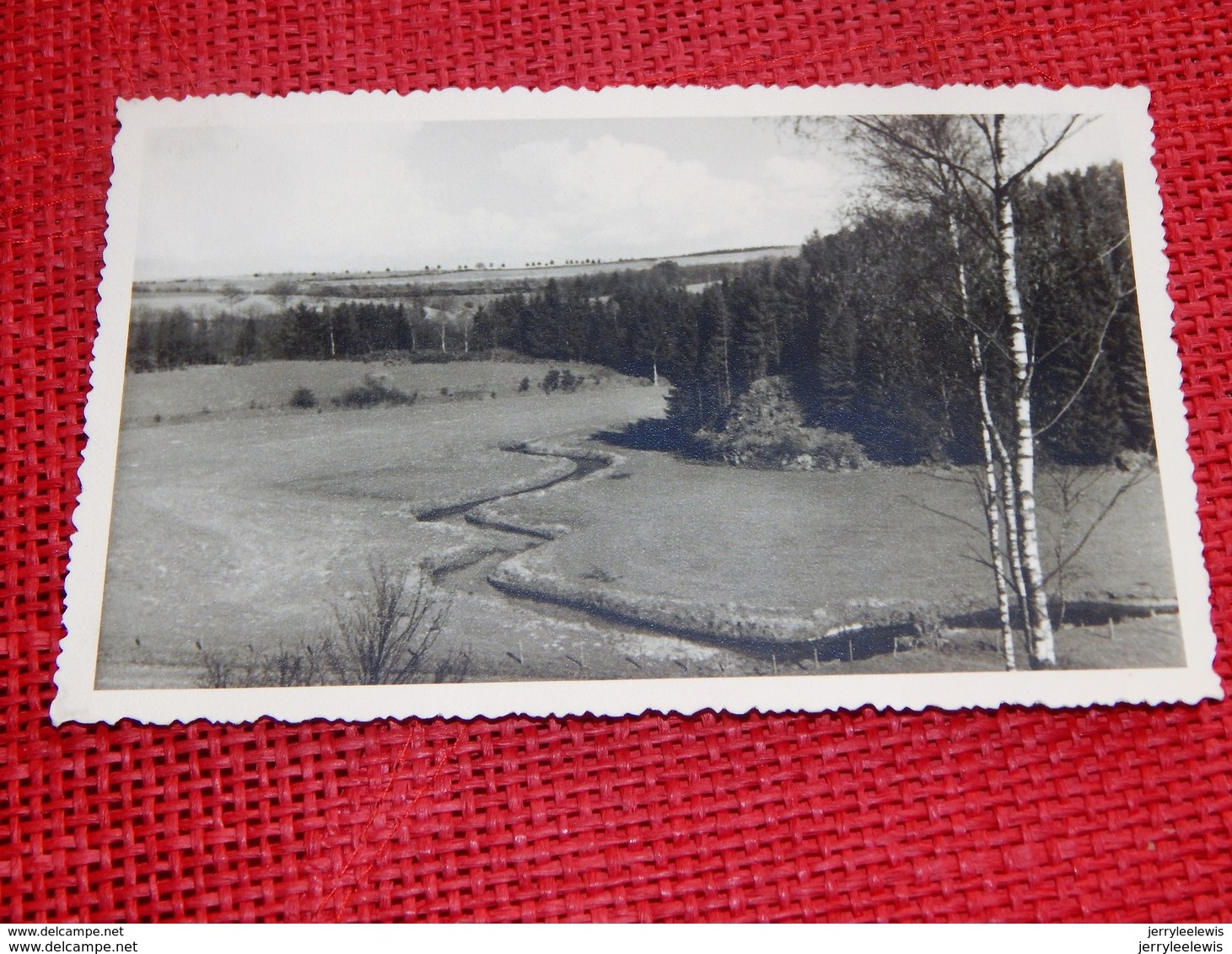 NEUFCHÂTEAU  - Panorama    - Carte Photo - Neufchâteau