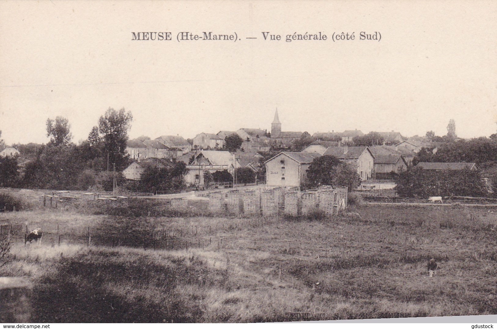 Haute-Marne - Meuse - Vue Générale (côté Sud) - Autres & Non Classés