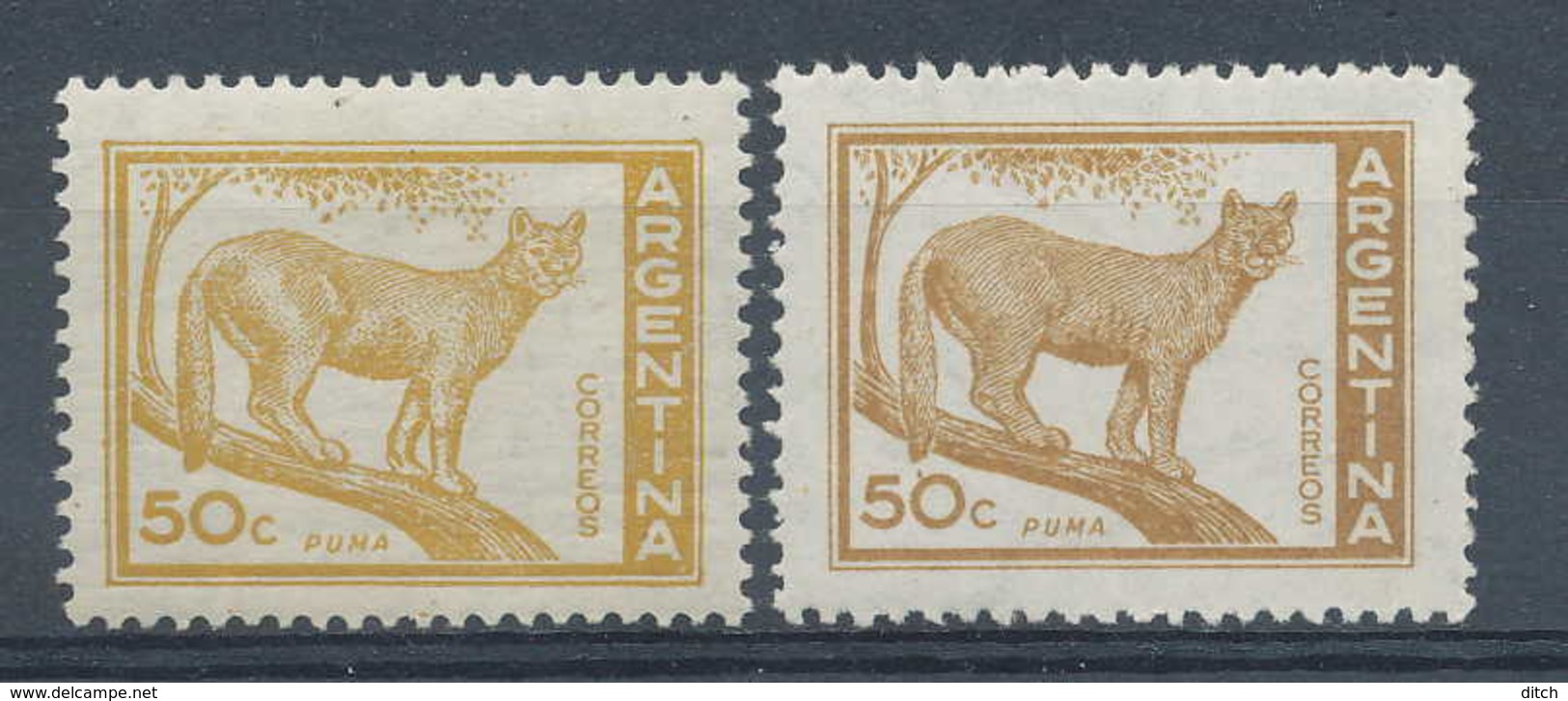 D - [ENV-636]felin, Puma, **/MNH En 2 Nuances - Félins