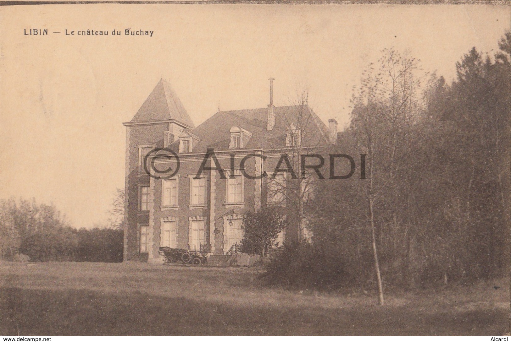 Postkaart/Carte Postale LIBIN Le Château De Buchay 1929 (C258) - Libin