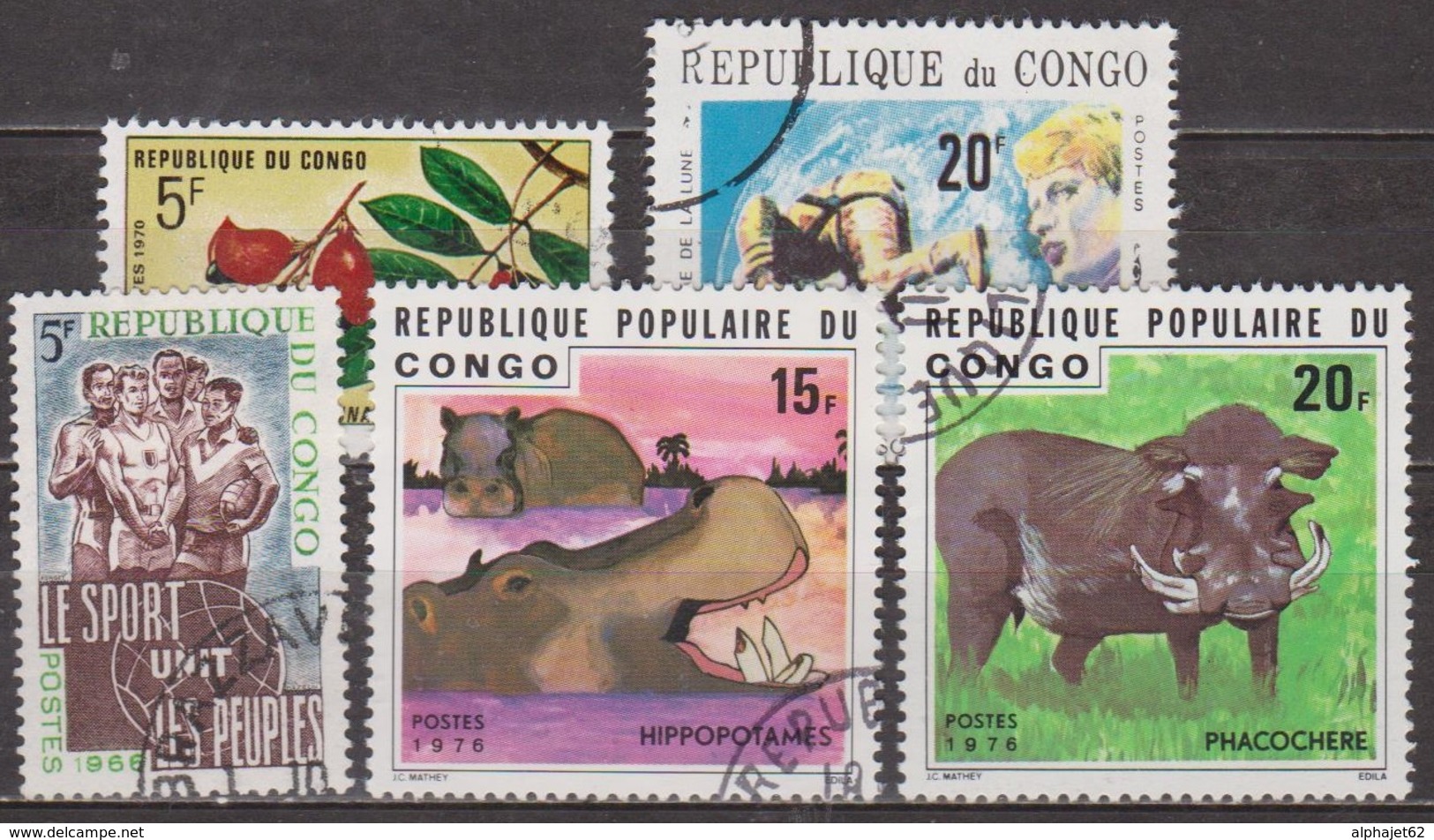 Sport - CONGO - Astronaute - Flore: Connarus, Animaux: Phacochère, Hippopotame - N° 193-253c-271-419-420 - 1976 - Oblitérés