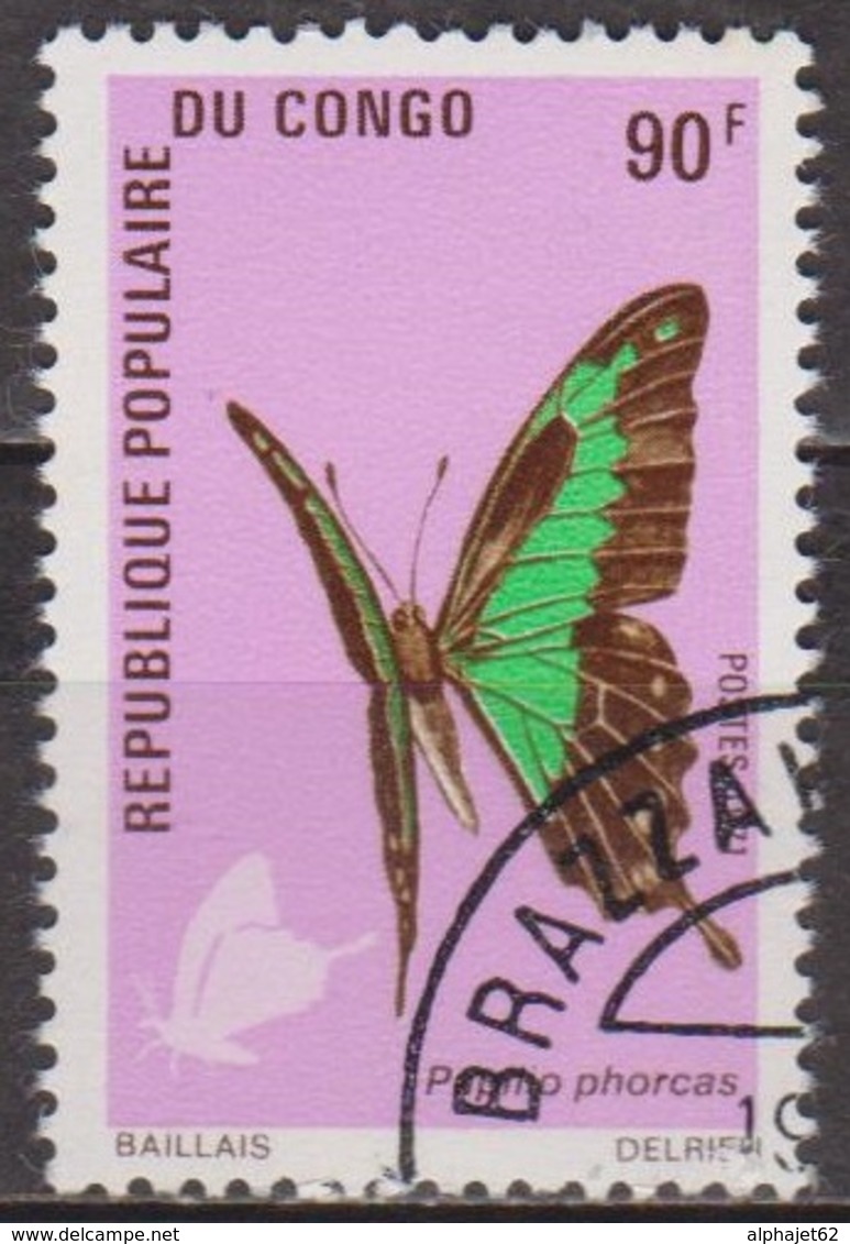 Faune, Insectes - CONGO - Papillon: Papilio Phorcas - N° 306 - 1971 - Oblitérés