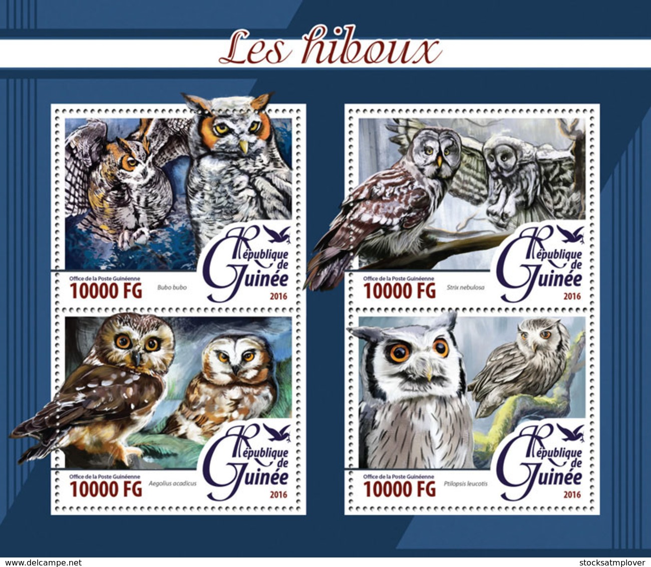 Guinea   2016  Fauna  Owls - Guinée (1958-...)