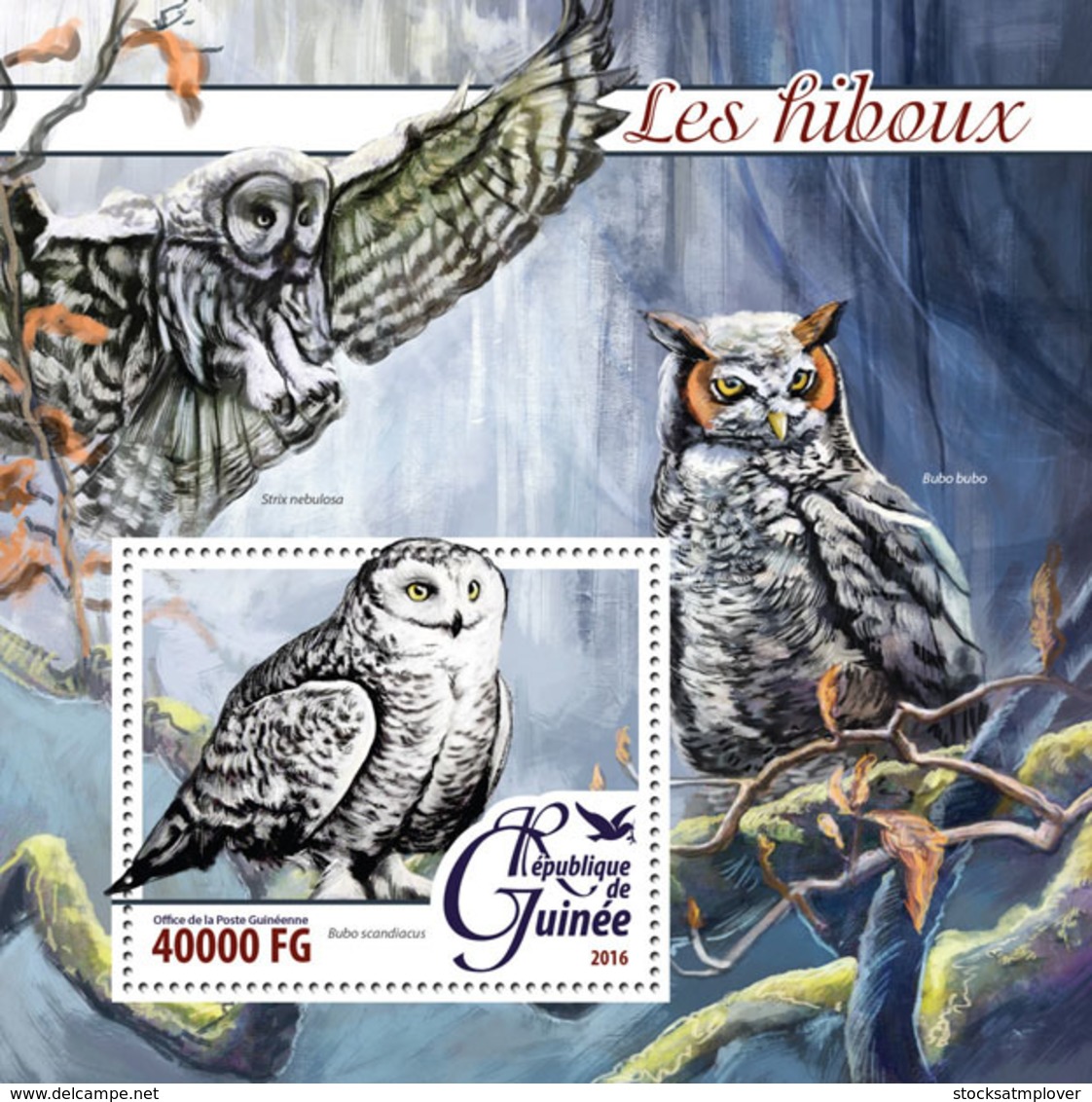 Guinea   2016  Fauna  Owls - Guinée (1958-...)