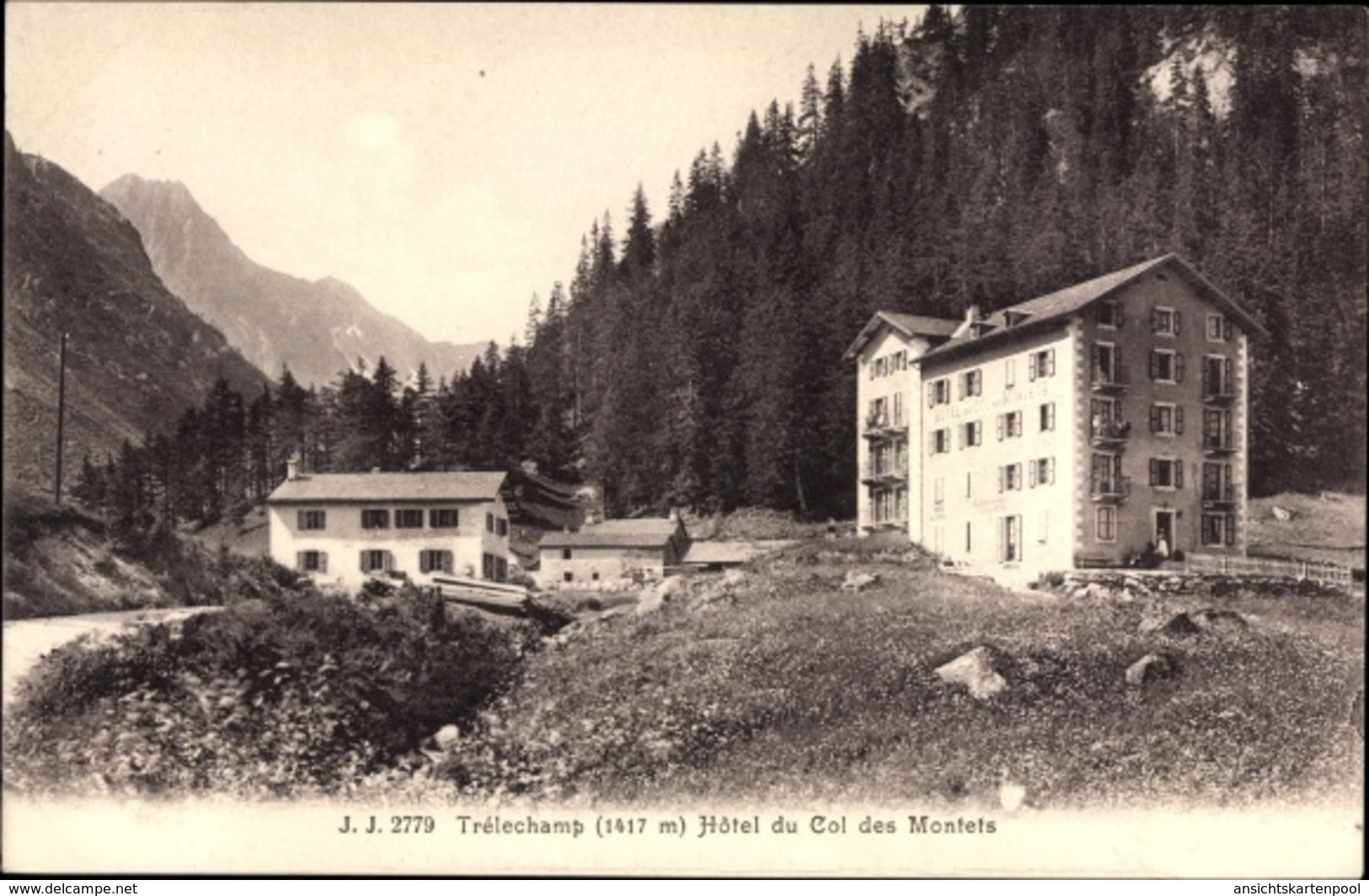 Cp Chamonix Mont Blanc Haute Savoie, Trélechamps, Hotel Du Col Des Montets - Autres & Non Classés