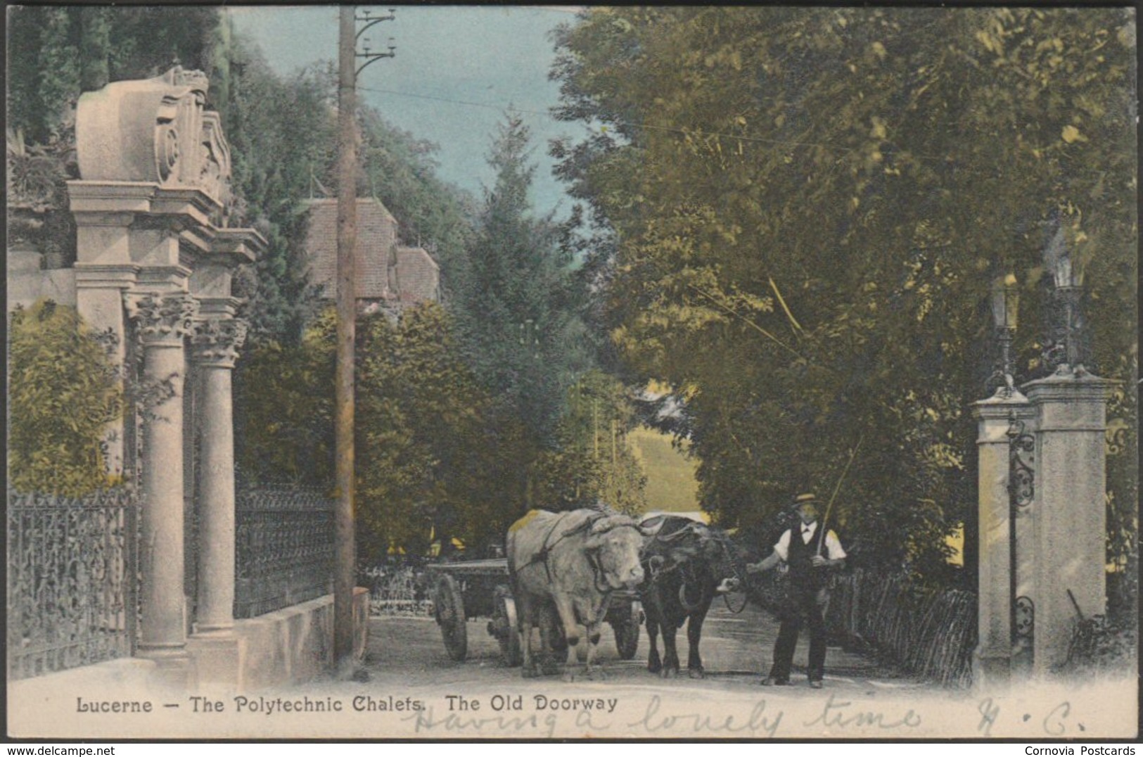 The Old Doorway, Polytechnic Chalets, Lucerne, 1905 - Postcard - Luzern