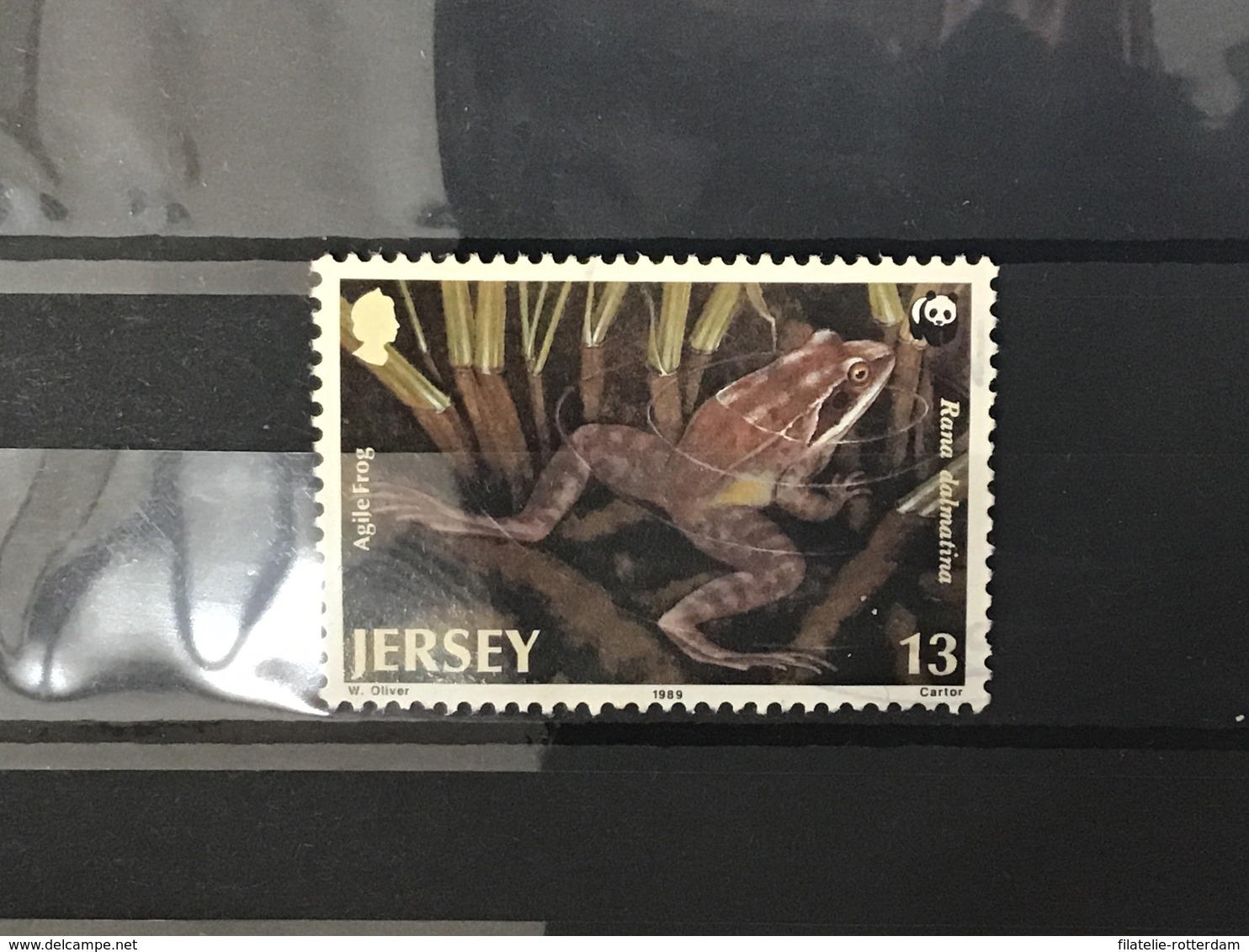 Jersey - WWF, Zeldzame Dieren (13) 1989 - Jersey