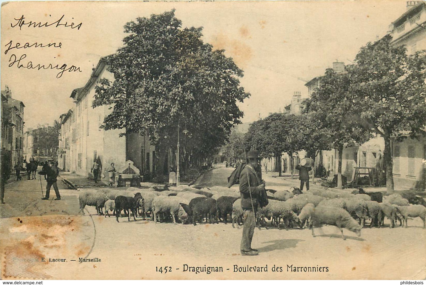 VAR  DRAGUIGNAN   Boulevard Des Marronniers - Draguignan