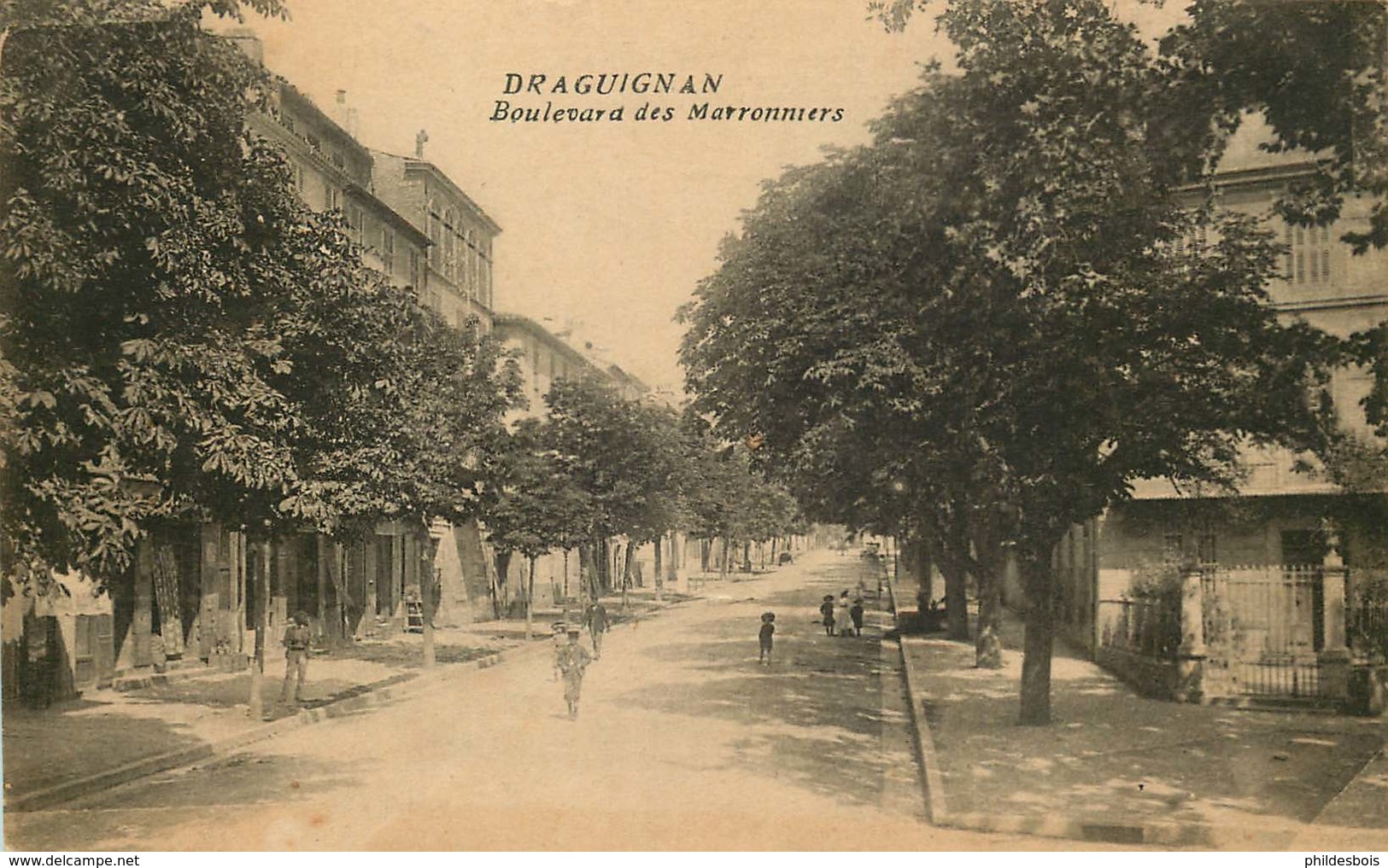 VAR  DRAGUIGNAN   Boulevard Des Marronniers - Draguignan