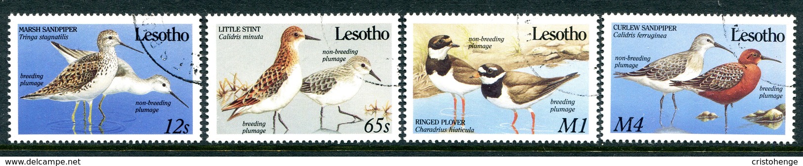 Lesotho 1989 Migrant Birds Set Used (SG 910-913) - Lesotho (1966-...)