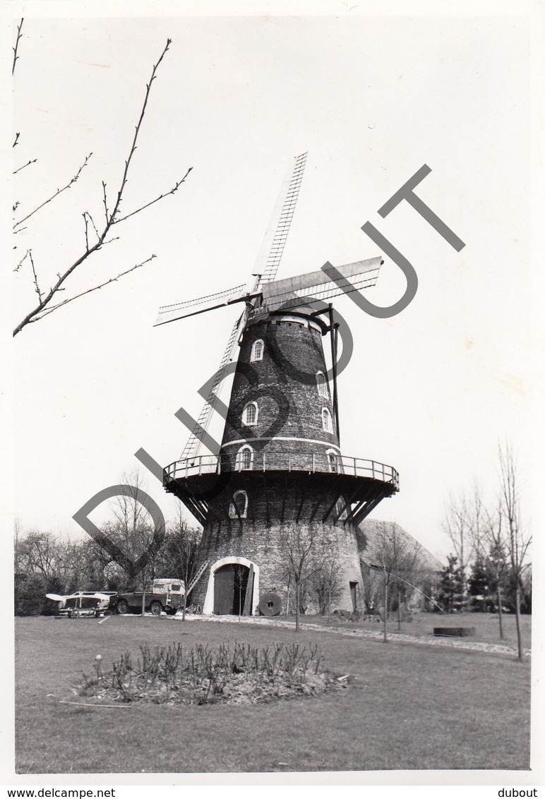 ST-PAUWELS/ST-GILLIS-WAAS - Originele Foto Jaren '70 A.Carre - Gelaagmolen (Q68) - Sint-Gillis-Waas