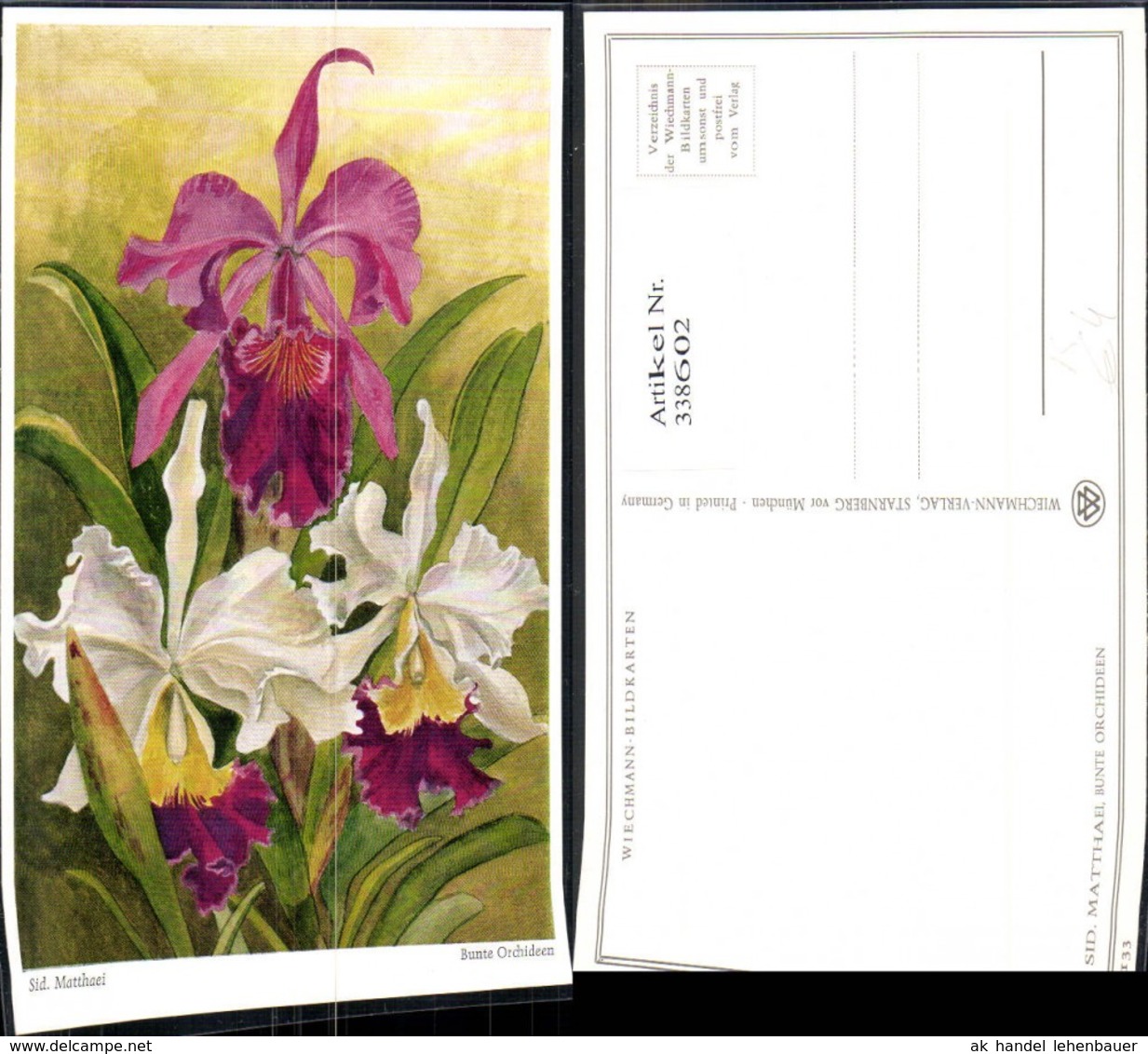 338602,K&uuml;nstler Ak Sid. Matthaei Bunte Orchideen Blumen - Sonstige & Ohne Zuordnung