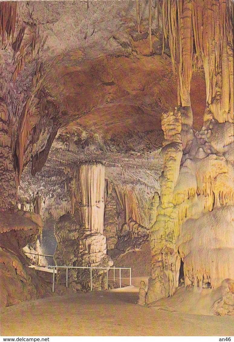 POSTOJNSKA JAMA GROTTE   VG  AUTENTICA 100% - Slovenia