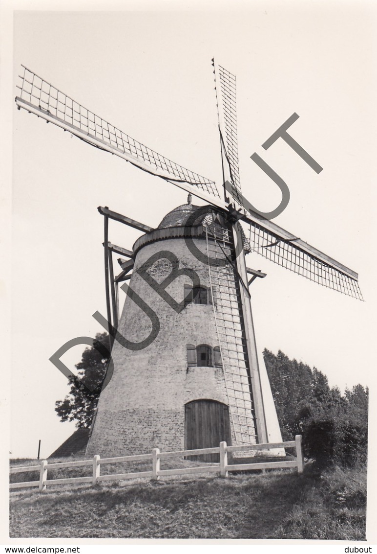 HERZELE- Originele Foto Jaren '70 A.Carre - Ter Rijstmolen (Q48) - Herzele