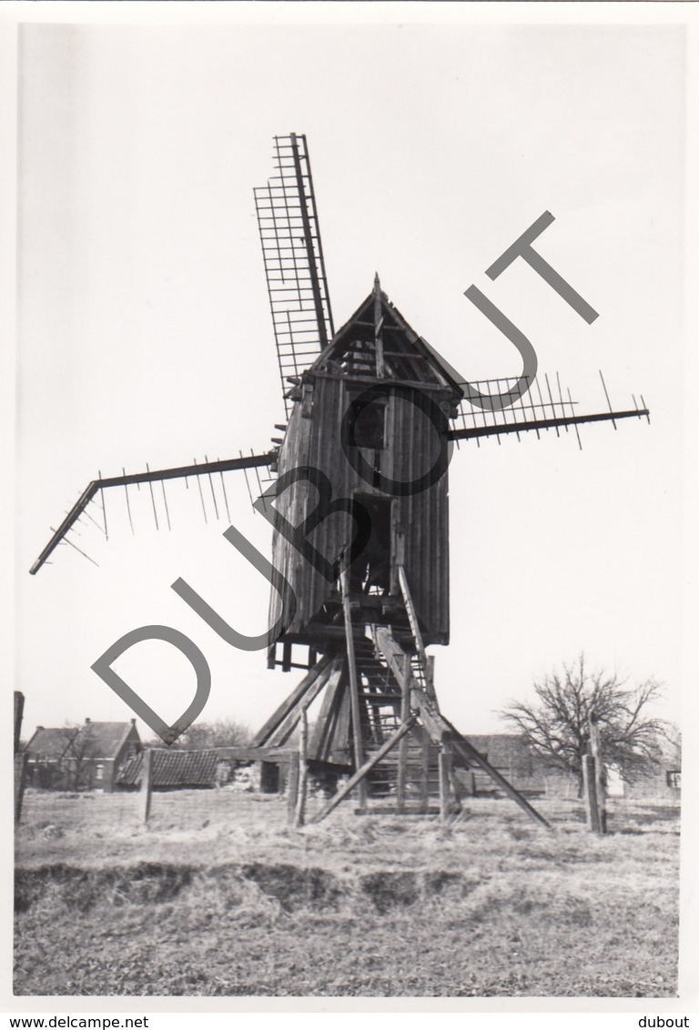 IMPE/LEDE - Originele Foto Jaren '70 A.Carre - Tukmolen - Dijkmolen (Q69) - Lede