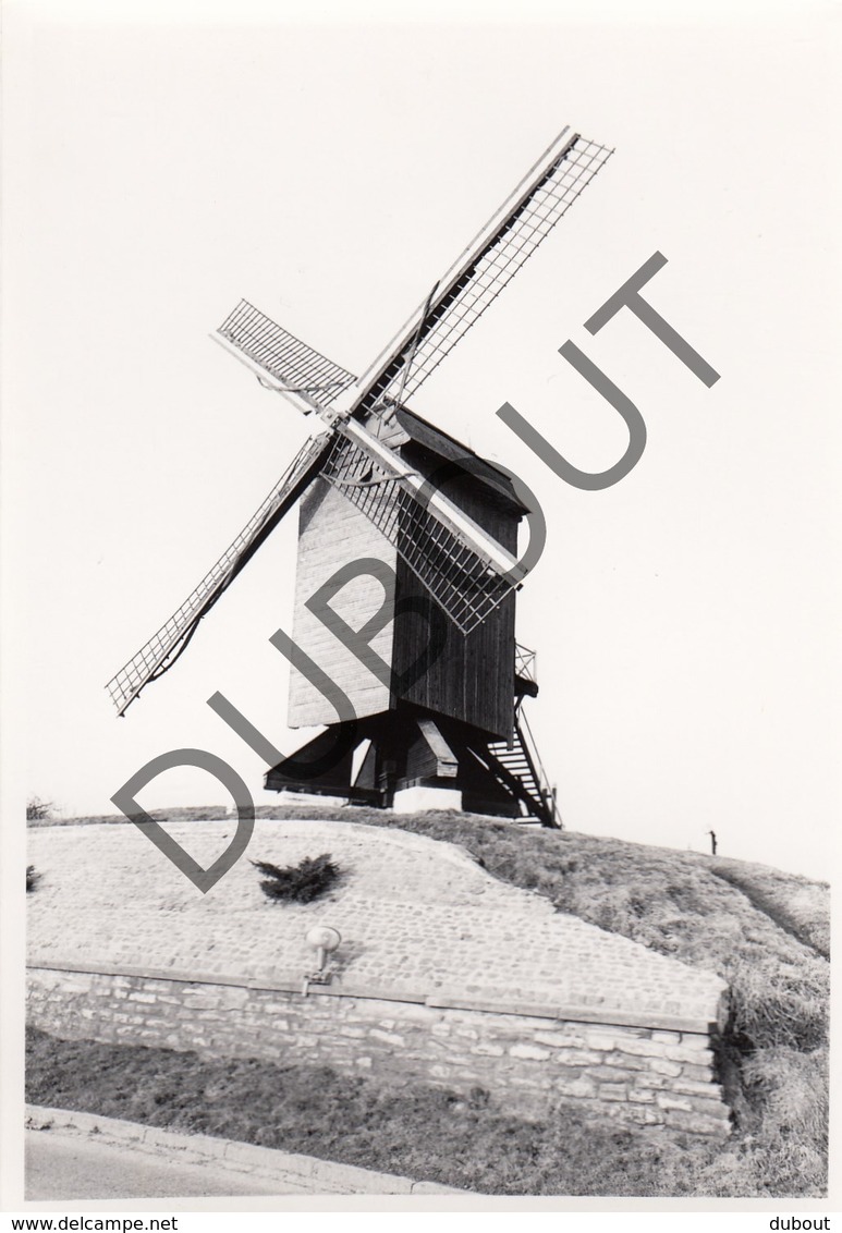 HERZELE - Originele Foto Jaren '70 A.Carre - Molen Te Rullegem (Q80) - Herzele