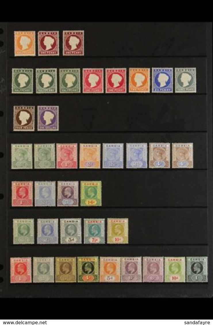 1880-1935 OLD TIME MINT ASSEMBLY  Presented On A Pair Of Stock Pages & Includes, Victoria CC Wmk ½d & 1d, CA Wmk S/ways  - Gambia (...-1964)