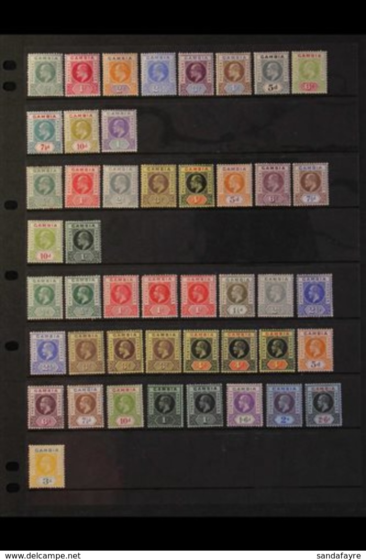 1904-1949 FINE MINT COLLECTION  On Stock Pages, ALL DIFFERENT, Includes 1904-06 Set To 1s, 1909 Set To 1s, 1912-22 Set T - Gambia (...-1964)