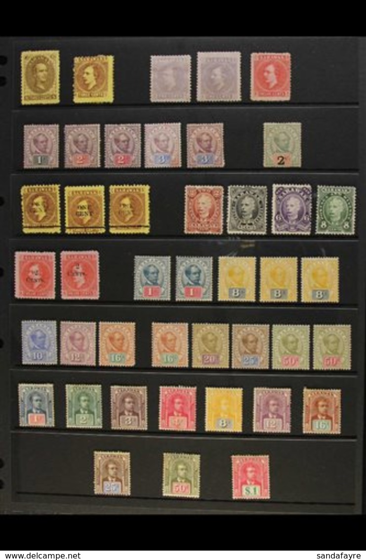 1869-1946 MINT SELECTION  Presented On A Pair Of Stock Pages. Includes 1895 Brooke Set, 1918 Range To $1, 1934-41 Set To - Sarawak (...-1963)
