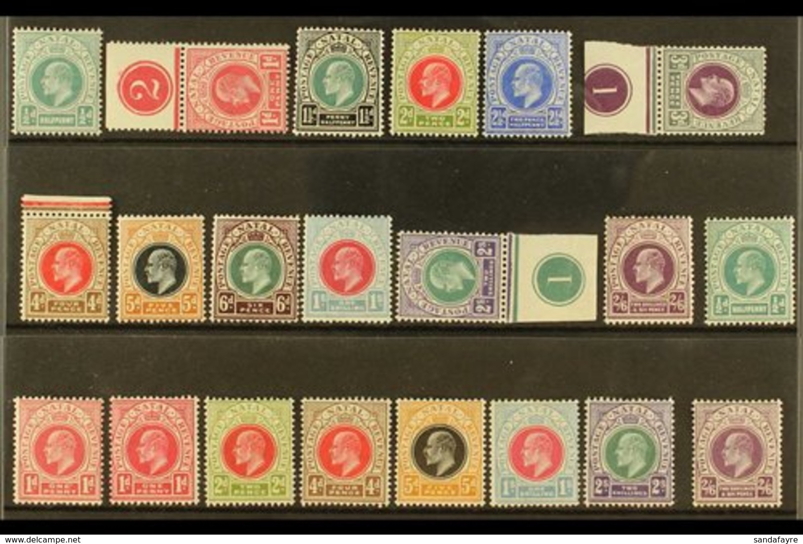 NATAL  1902-1904 FINE MINT COLLECTION On A Stock Card, All Different, Includes 1902-03 Set To 2s6d Incl 1d, 3d & 6d Plat - Unclassified