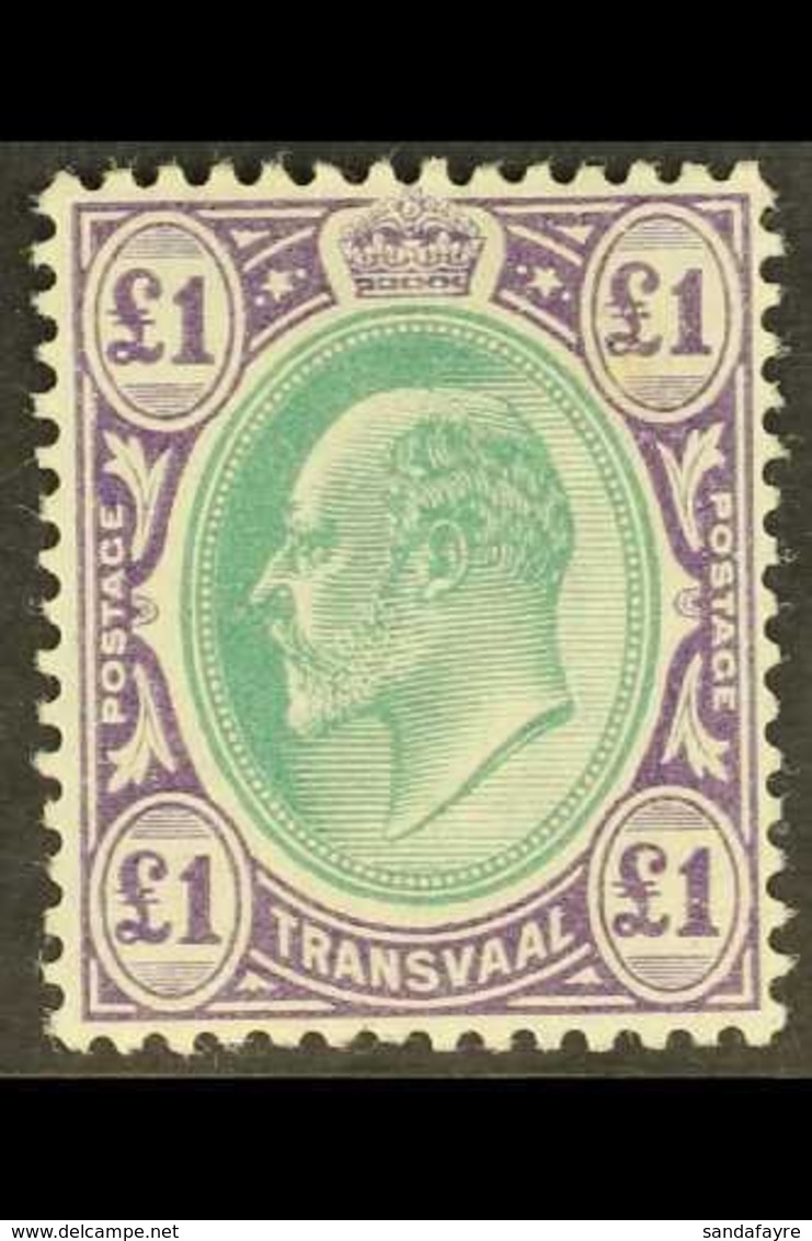 TRANSVAAL  1903 Ed VII £1 Green And Violet, Wmk CA, SG 258, Very Fine Mint. For More Images, Please Visit Http://www.san - Ohne Zuordnung