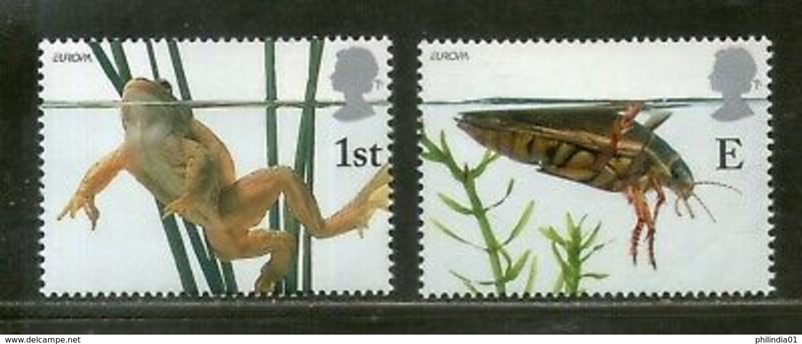 Great Britain 2001 Frog Beetle Insect Amphibians Animal Sc 1981-2 MNH # 3612 - Frogs