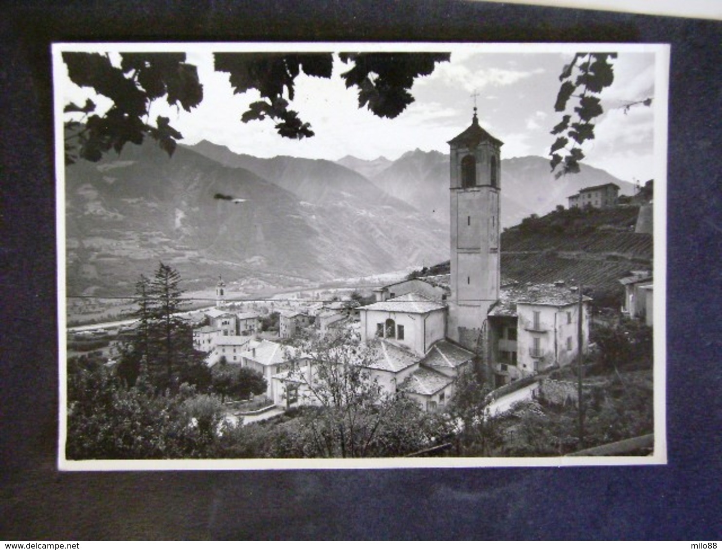 LOMBARDIA -SONDRIO -CASTIONE ANDEVENNO -F.G. LOTTO N°242 - Sondrio