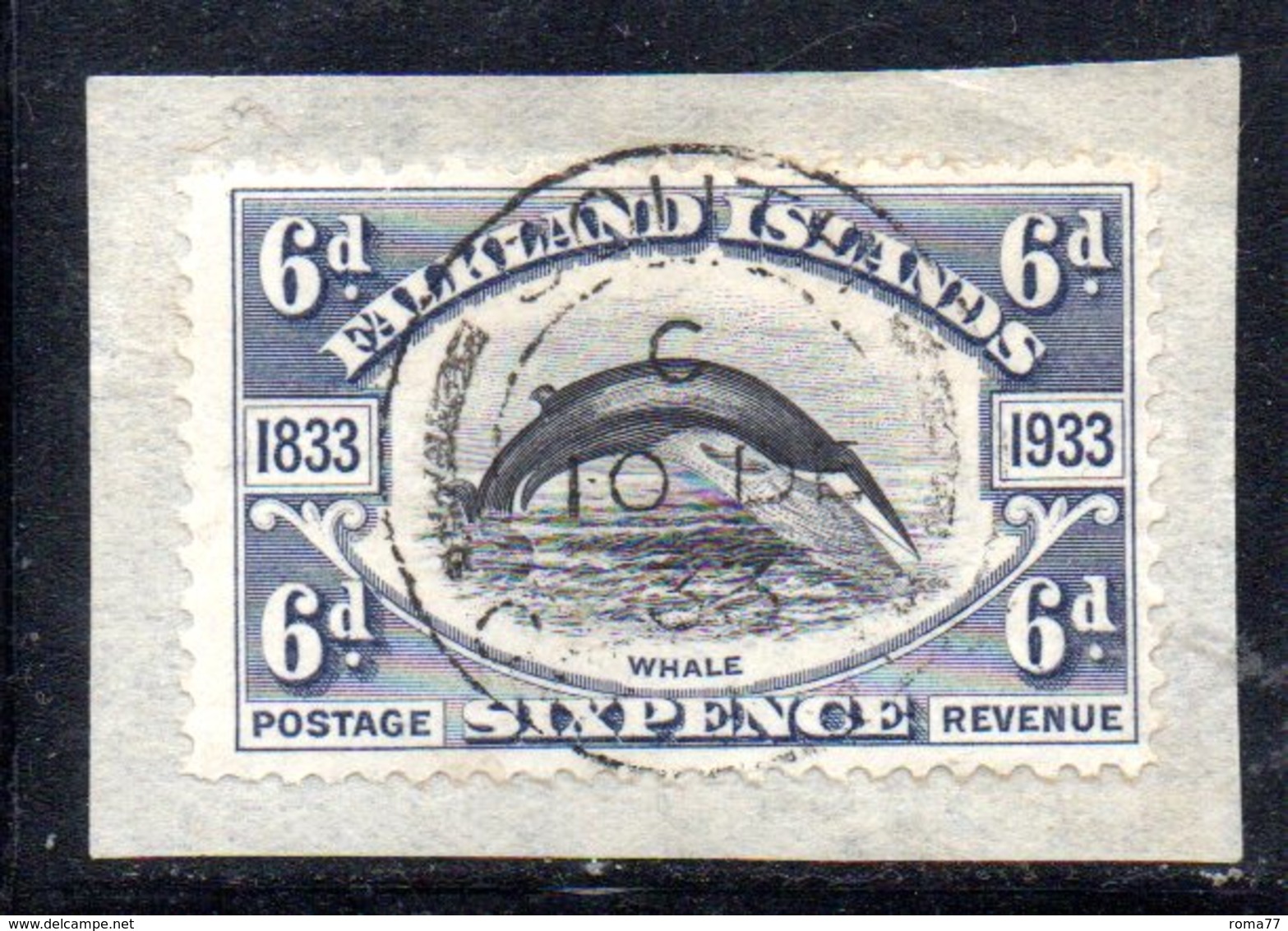 XP4637 - FALKLAND 1933 , 6 Pence  Nero Violaceo Yvert N. 65 Usato  (2380A) .  SPLENDIDO - Falkland