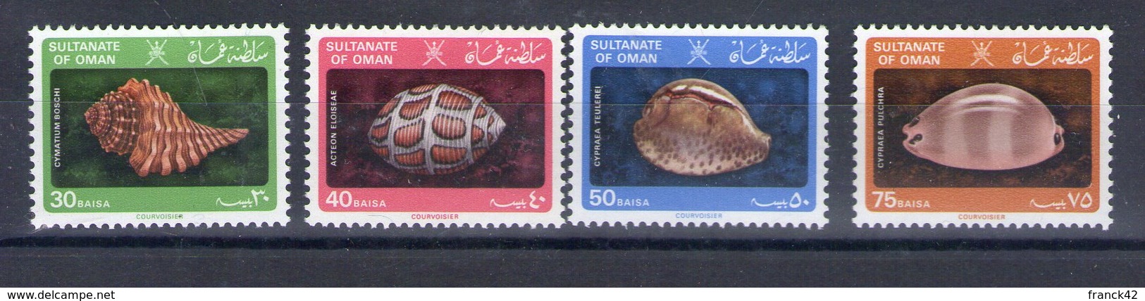 Oman. Coquillages - Oman