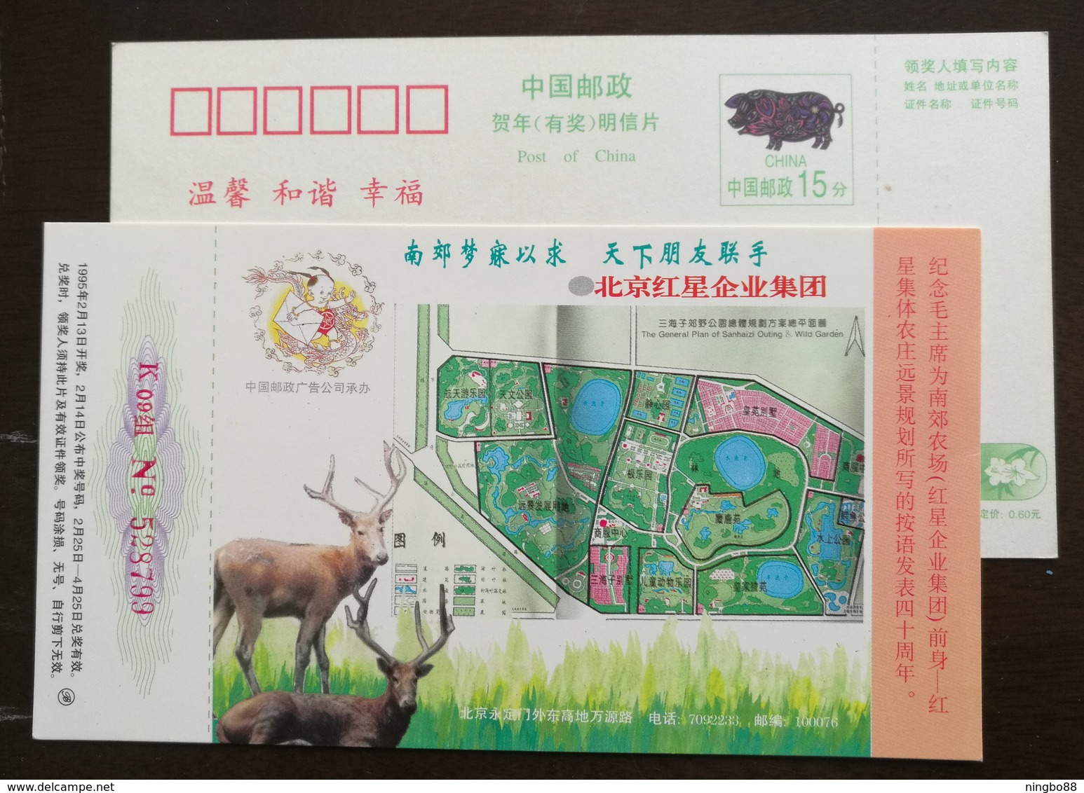 Pere David's Deer Park,Elaphurus Davidianus,China 1995 Beijing Red Star Farm Advertising Pre-stamped Card - Other & Unclassified