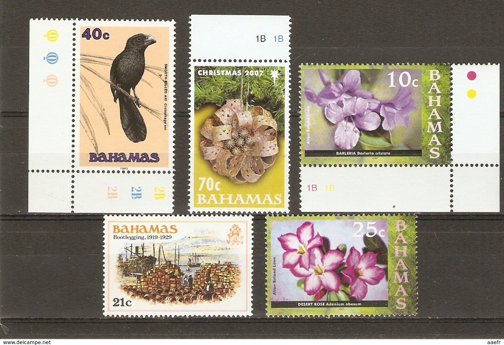 Bahamas 1980/2007 - Petit Lot De 5 MNH - Noël - Fleurs - Oiseau - Smooth Billed Ani - Ani à Bec Lisse - 2 CDF - Lots & Kiloware (max. 999 Stück)
