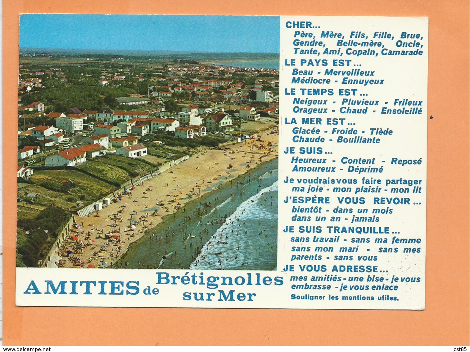 CPM - AMITIES DE BRETIGNOLLES SUR MER - Bretignolles Sur Mer