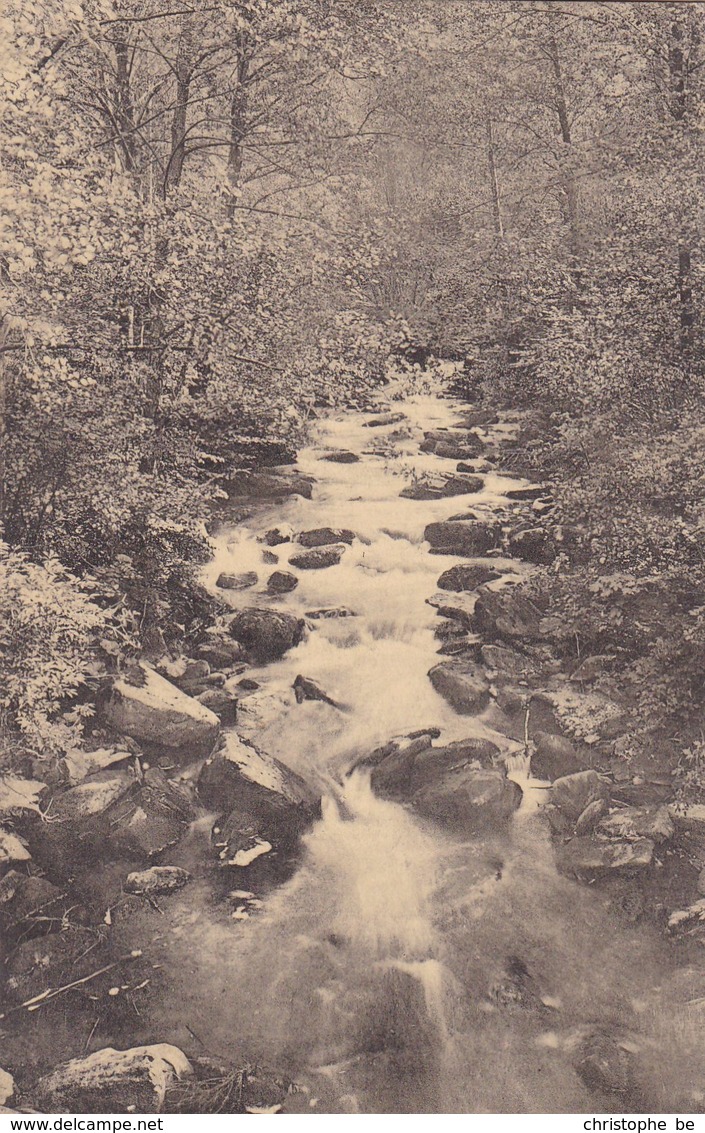 Environs De Vresse, Vue Du Ruisseau Du Petit Fays (pk57841) - Aywaille