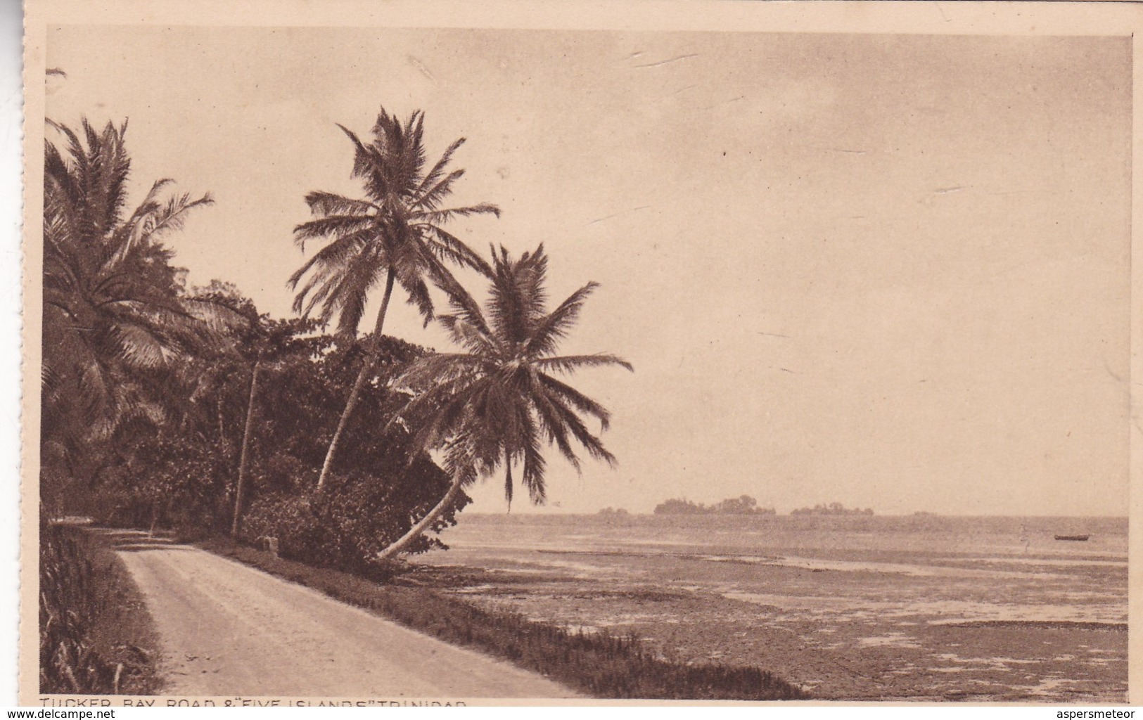TUCKER BAY ROAD & "FIVE ISLANDS". TRINIDAD. F P BRUCE AUSTIN. CPA CIRCA 1920s - BLEUP - Trinidad