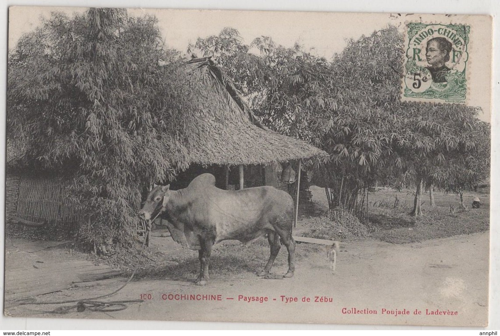 8724 Vietnam Cochinchine Paysage Type De Zebu Stamping Indo-Chine - Vietnam