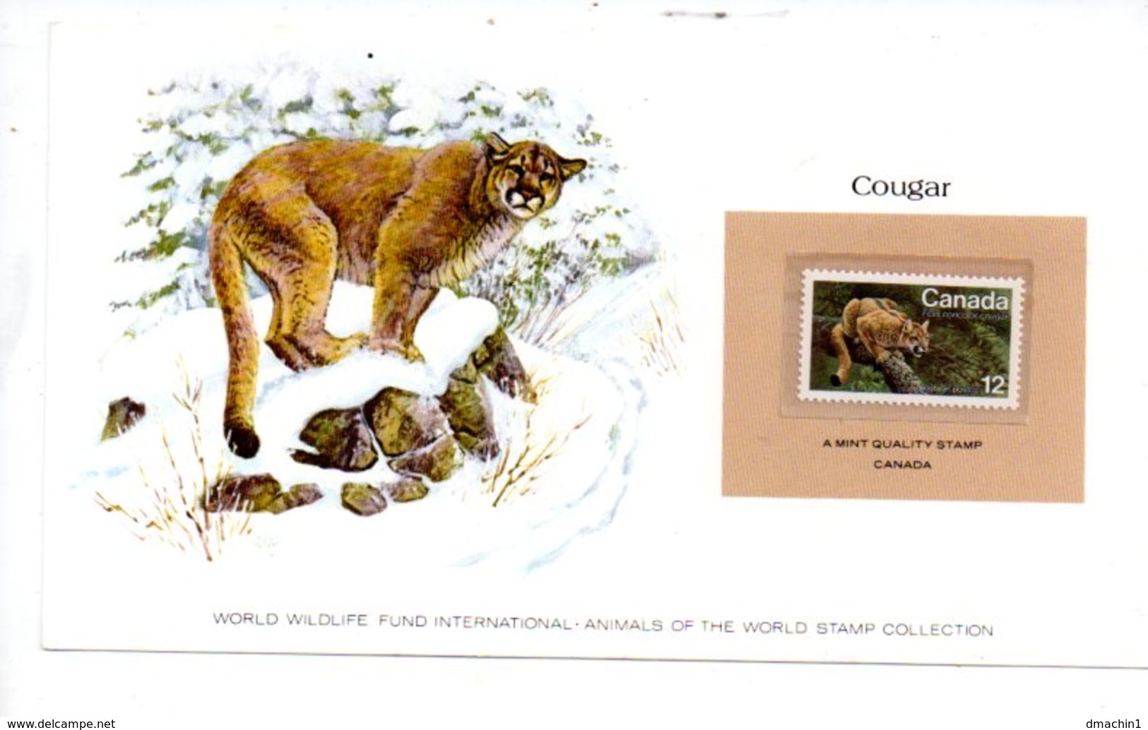 3 Cartes - World Widlife -animals Of The World Stamp -voir état - Lots & Kiloware (mixtures) - Max. 999 Stamps