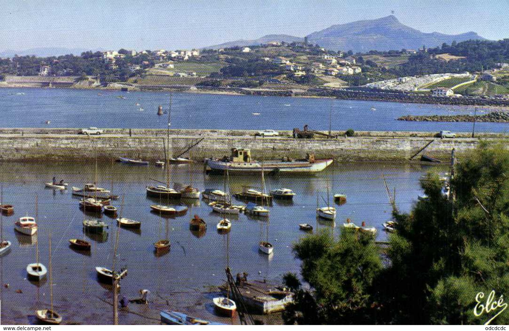 Cpsm Petit Format  Le Port Au Fond La Rhune Colorisée   RV - Saint Jean De Luz