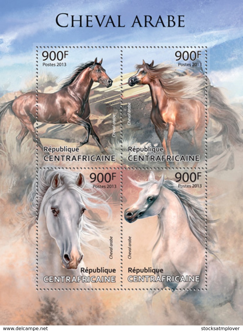 Central Africa  2013 Fauna – Arabian Horses - Centrafricaine (République)