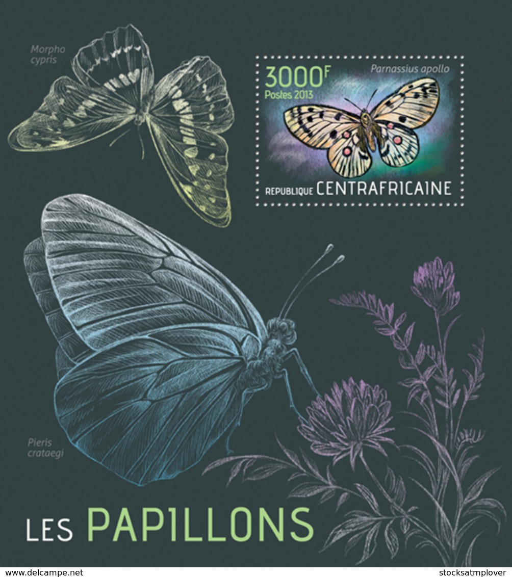 Central Africa  2013 Fauna Butterflies - Central African Republic