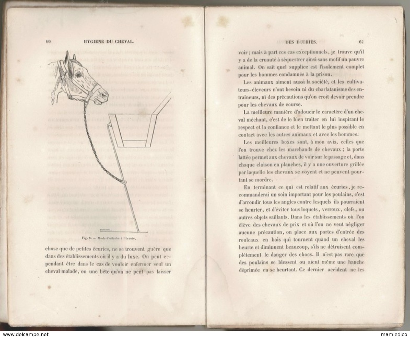 1858 MANUEL DE L'ELEVEUR DE CHEVAUX Par Félix VILLEROY. 380 PAGES, Broché. Etat D'usage. - 1801-1900