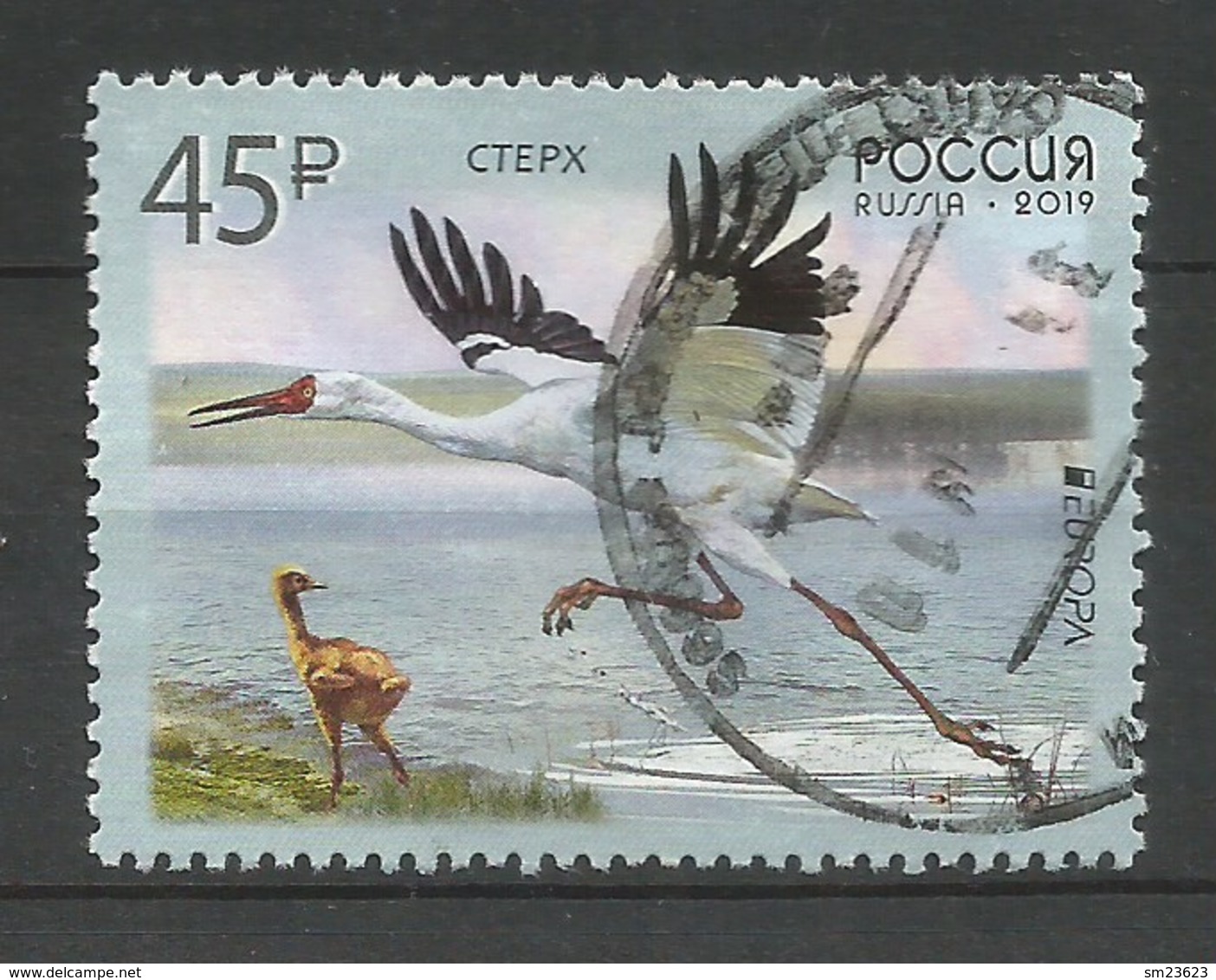 Russland / Russia 2019 , EUROPA CEPT Birds - Gestempelt / Used / (o) - Used Stamps