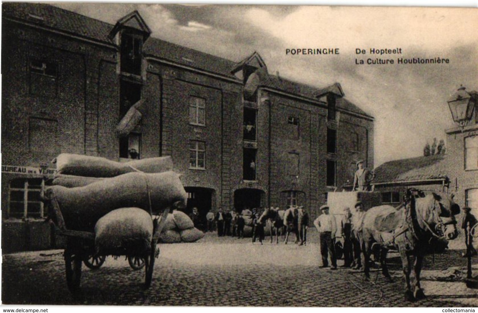 1 Postkaart Poperinghe  Hopwaag Culture Houblonnière De Hopteelt Poperinge Uitgever Sansen Vanneste Bier Bière Beer - Poperinge