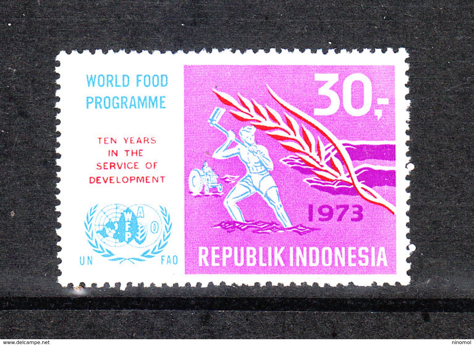 Indonesia - 1973. Spiga Di Grano. Alimentazione Mondiale. Ear Of Wheat. World Food Programm. MNH - Contro La Fame