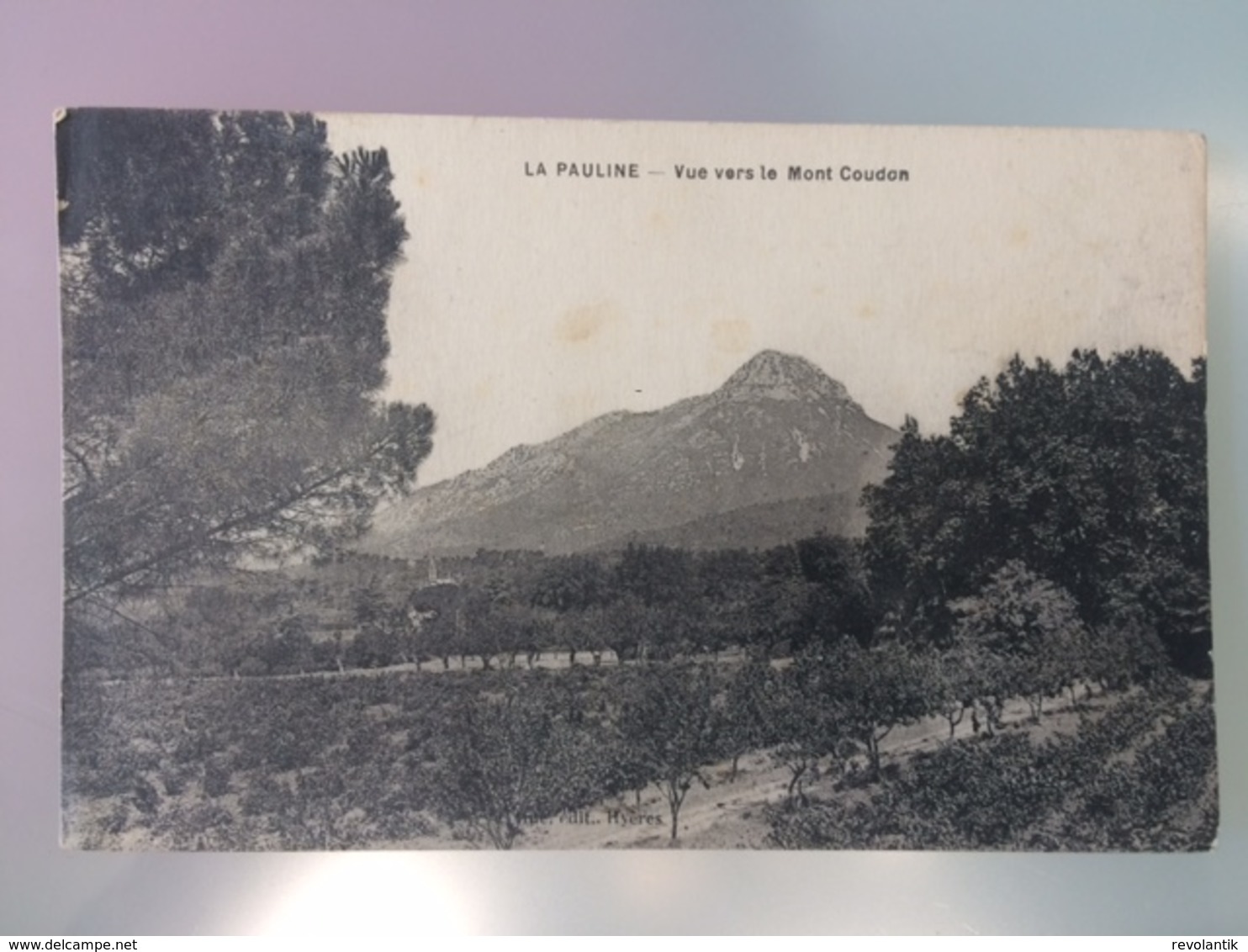 Cpa 83 - Var - La Pauline - Vue Vers Le Mont Coudon - Autres & Non Classés