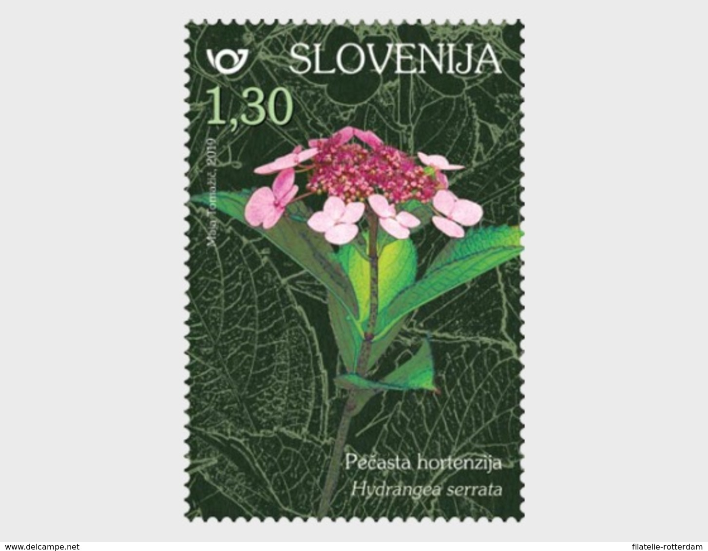 Slovenië / Slovenia - Postfris/MNH - Complete Set Flowers 2019 - Slovenië