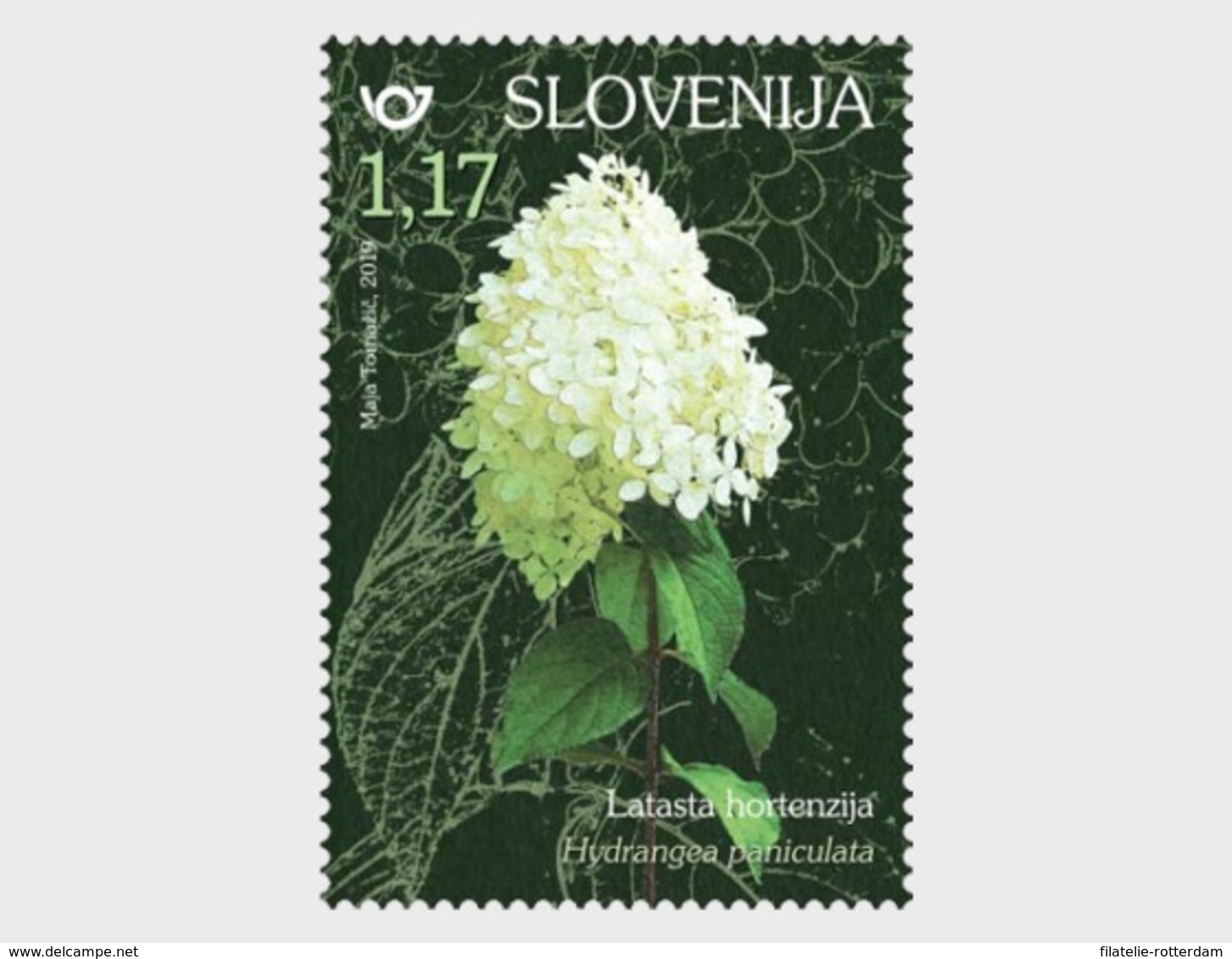 Slovenië / Slovenia - Postfris/MNH - Complete Set Flowers 2019 - Slovenië